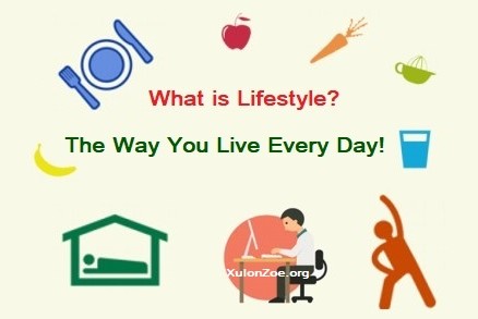 What is Lifestyle